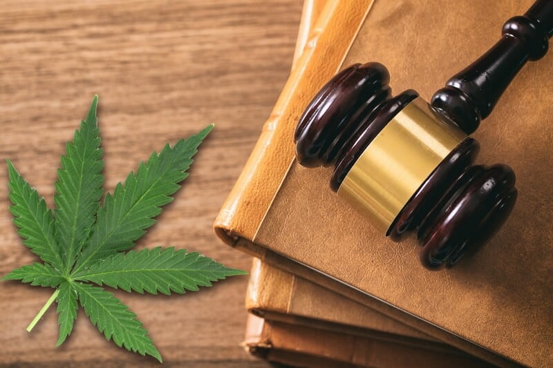 cbd loi france