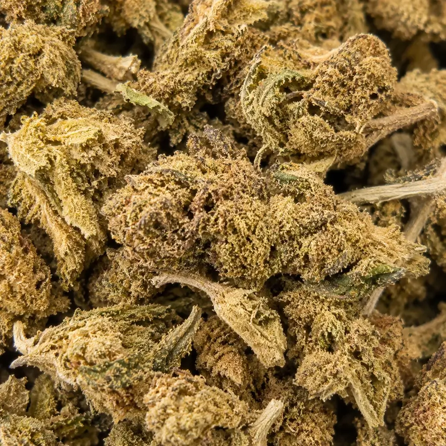 OG Kush CBD photo close up