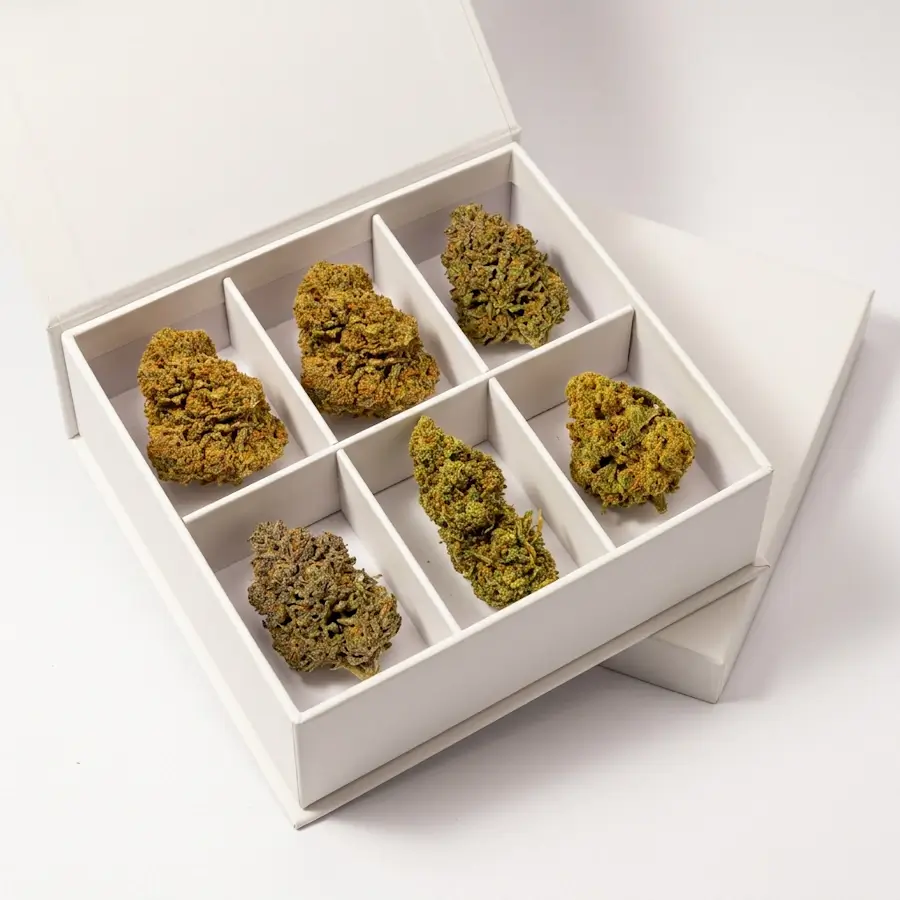 pack-fleur-cbd