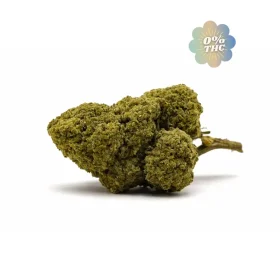 white-widow-cbd-0-thc-cbdissimo-1