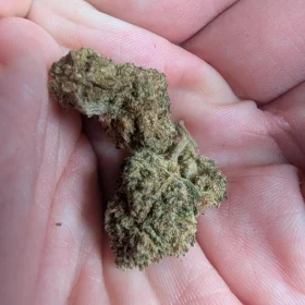 Photo client de Lulu — Orange Bud CBD 0 % THC