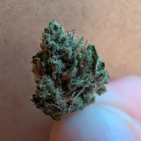 Photo client de Roger C. — Super Silver Haze CBD