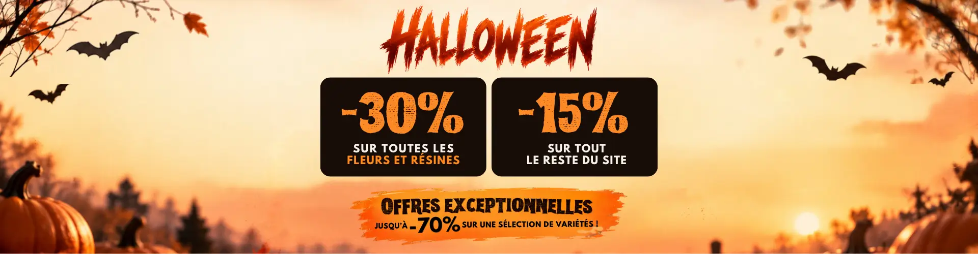 Campagne — Halloween