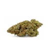 Lemon-Tree-CBD-1