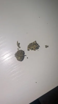 Photo client de dfl — Cosmic Cookie CBD